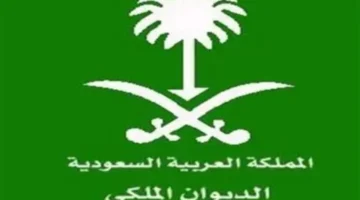 الديوان الملكي السعودي.. شروط صياغة طلب المساعدة المالية لضمان قبول صرف الدعم